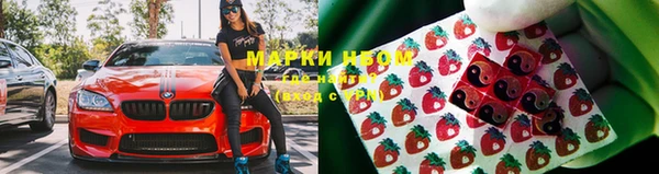 Альфа ПВП Арсеньев