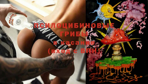 стаф Алзамай