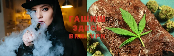 гашик Алексин