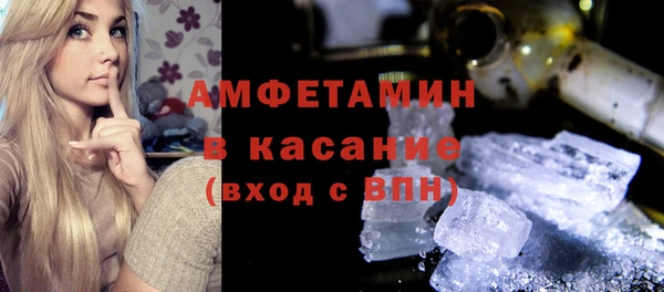стаф Алзамай