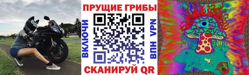 Купить закладки  Егорьевск  Галлюциногенные грибы прущие грибы 